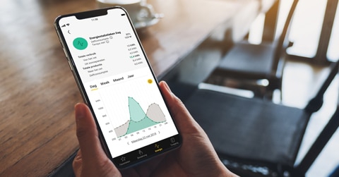 Nieuwsbericht: Energiezuinig huis met Niko Home Control
