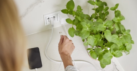 Nieuwsbericht: Dubbele USB-contactdoos