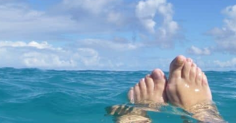 Nieuwsbericht: Nog wat gemist deze zomer?