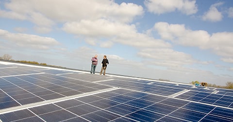 Nieuwsbericht: Geen zonneparken in natuur
