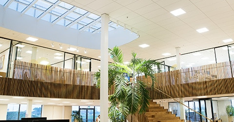 Nieuwsbericht: Norton ledpanelen