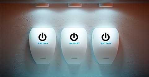 Nieuwsbericht: Subsidie op thuisbatterij?