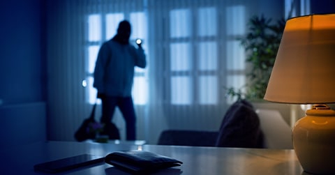 Nieuwsbericht: Plan tegen inbraak