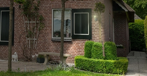 Nieuwsbericht: Voel je veiliger in huis met de Wallie