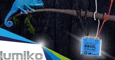 Nieuwsbericht: De kameleon van Lumiko