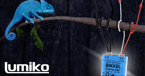 Nieuwsbericht: De kameleon van Lumiko